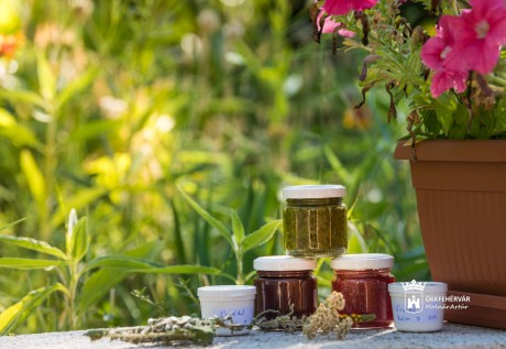 Természetes házipatika Lencsés Rita gyógynövényszakértővel